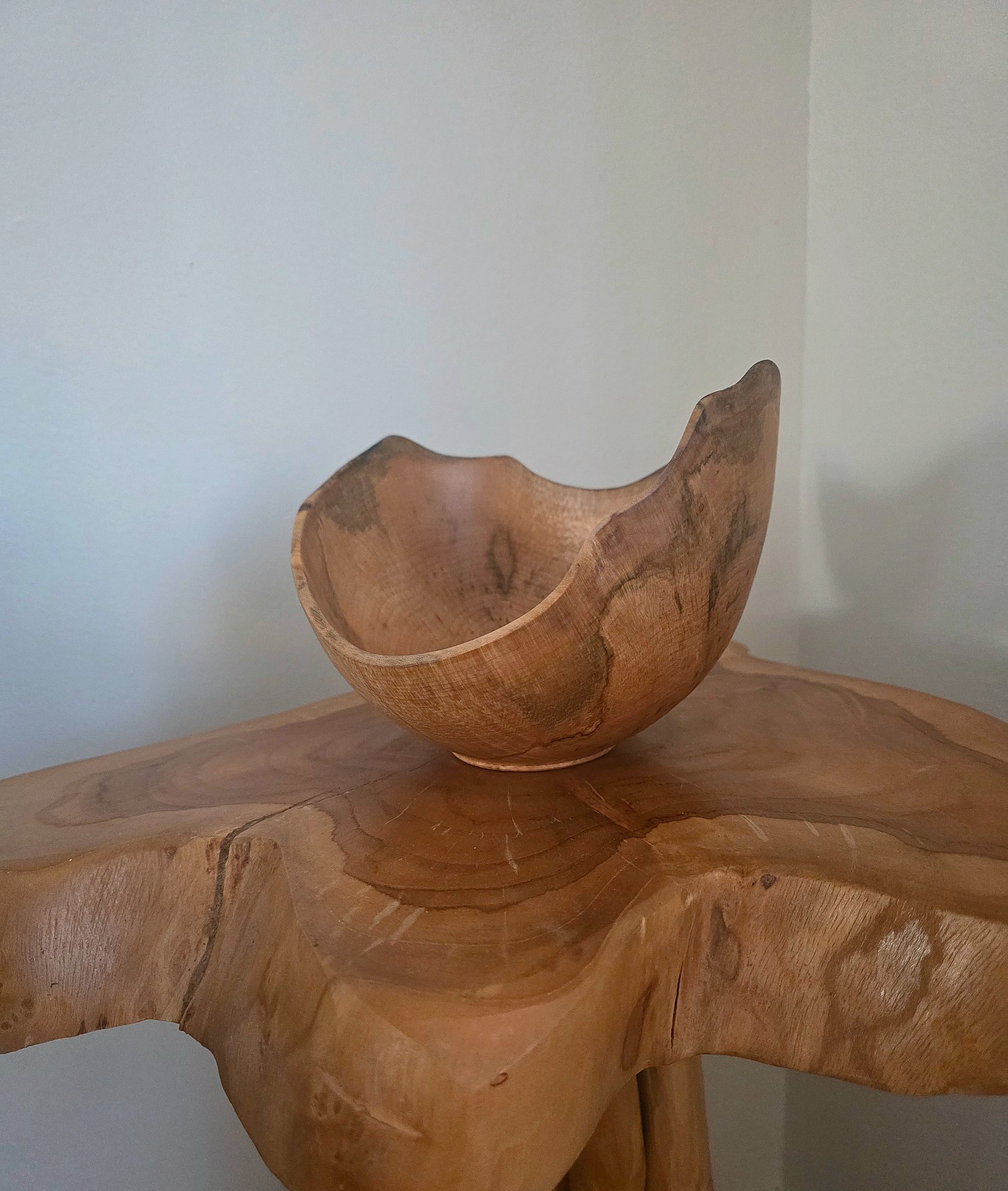 Sugar maple with little spalting and chatoyance