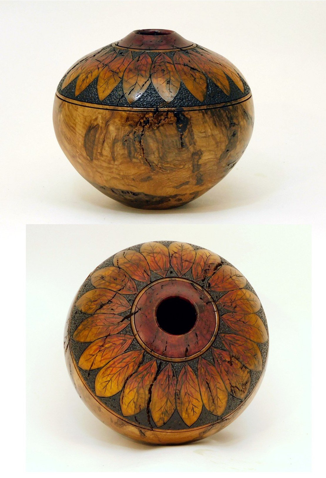 Swamp Oak burl