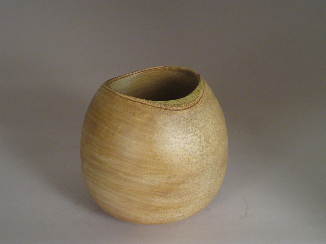 Sycamore pot