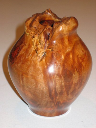 Tasmainian Rose