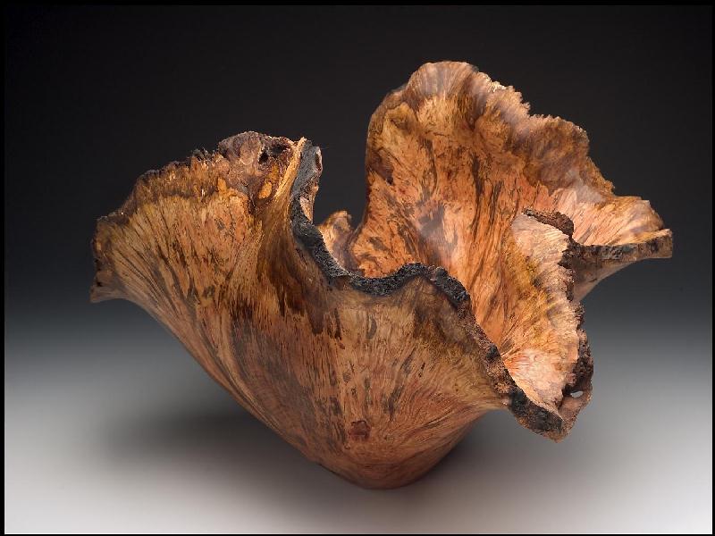 Tasmanian myrtle burl vessel