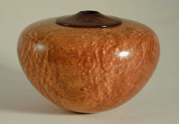 Tesota with Desert Ironwood collar