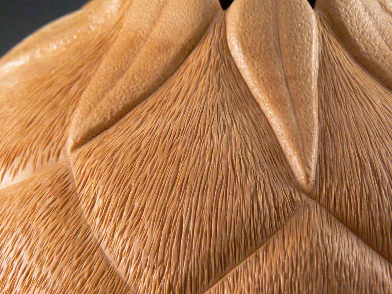 Texture close up