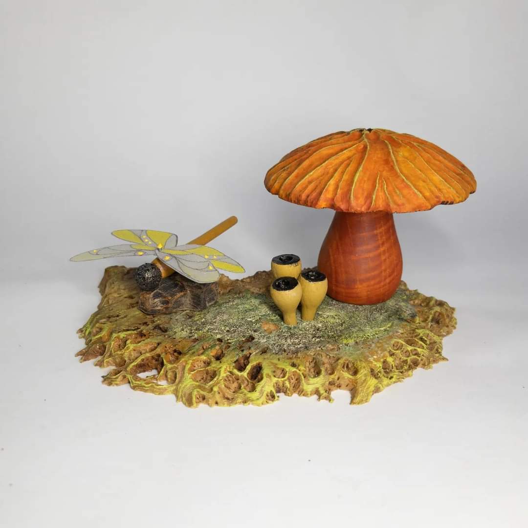 The Dragonfly: A hunter at rest