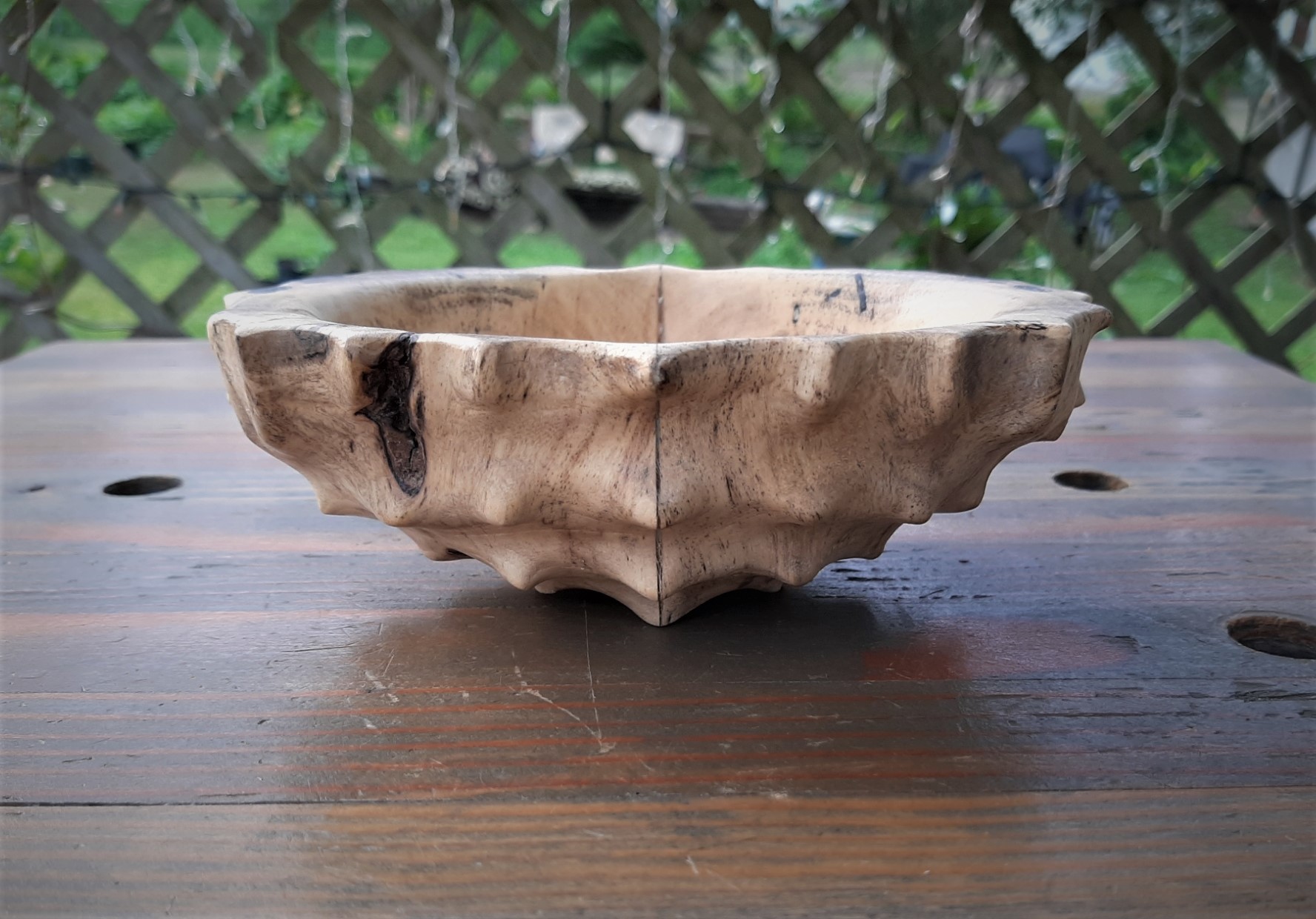 Tortoise Bowl