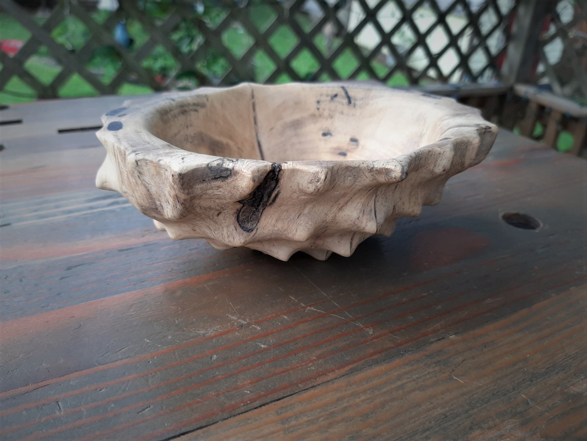 Tortoise Bowl