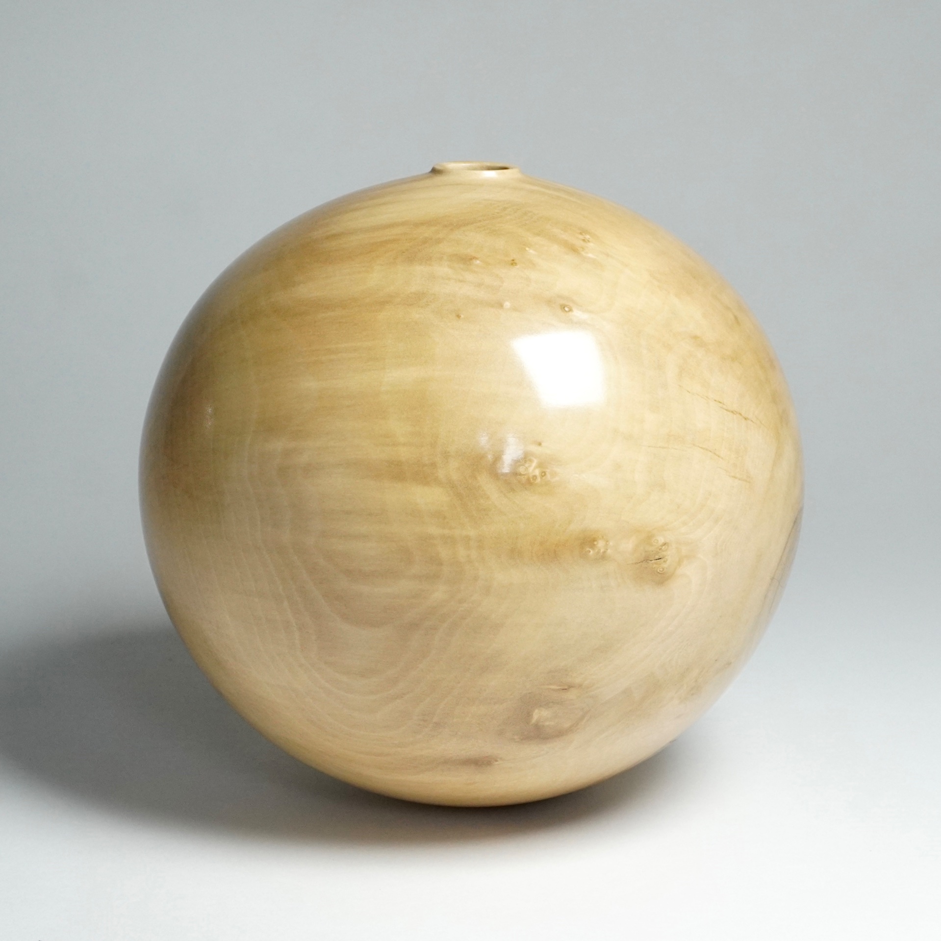 Tulip poplar hollow form