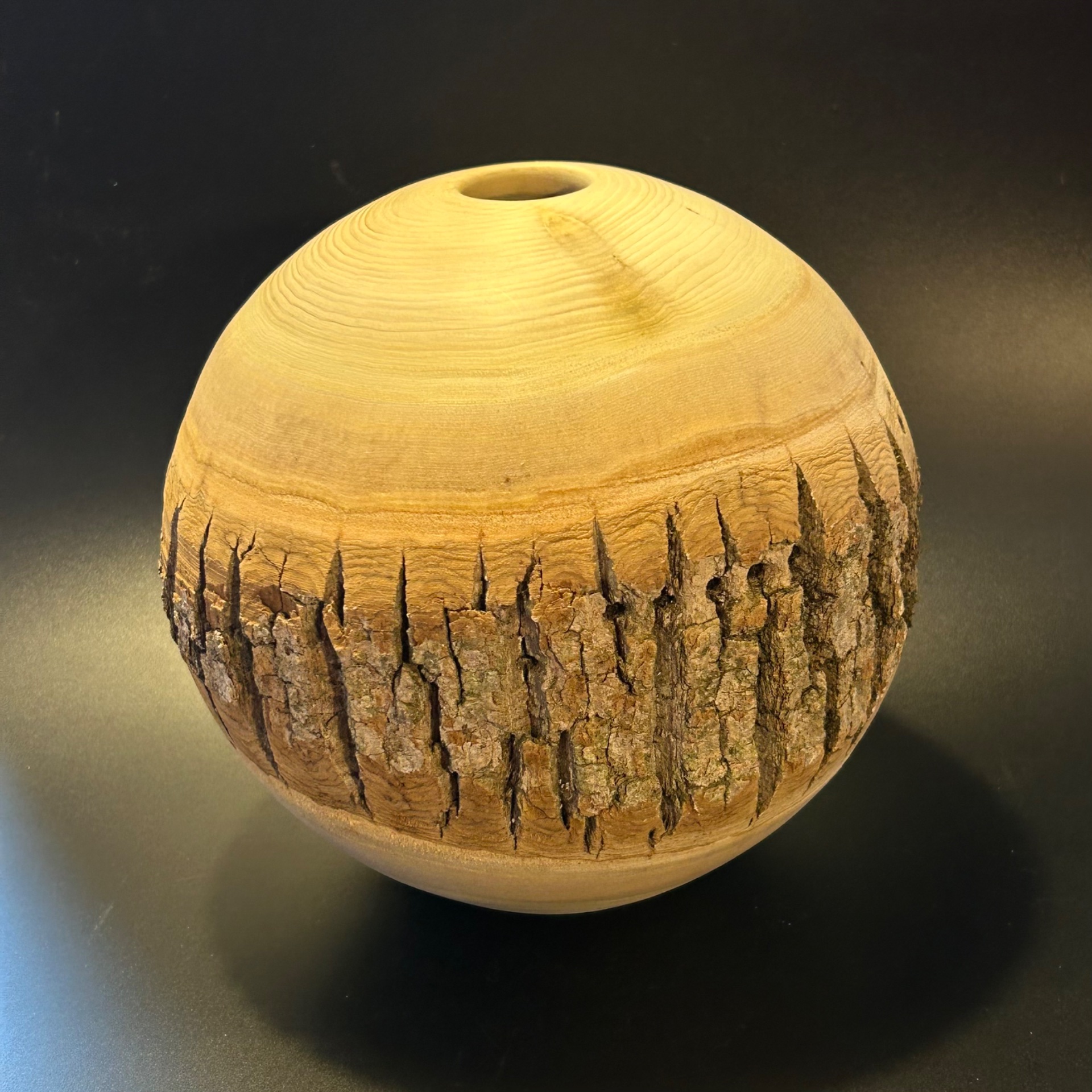 Tulip poplar hollow form