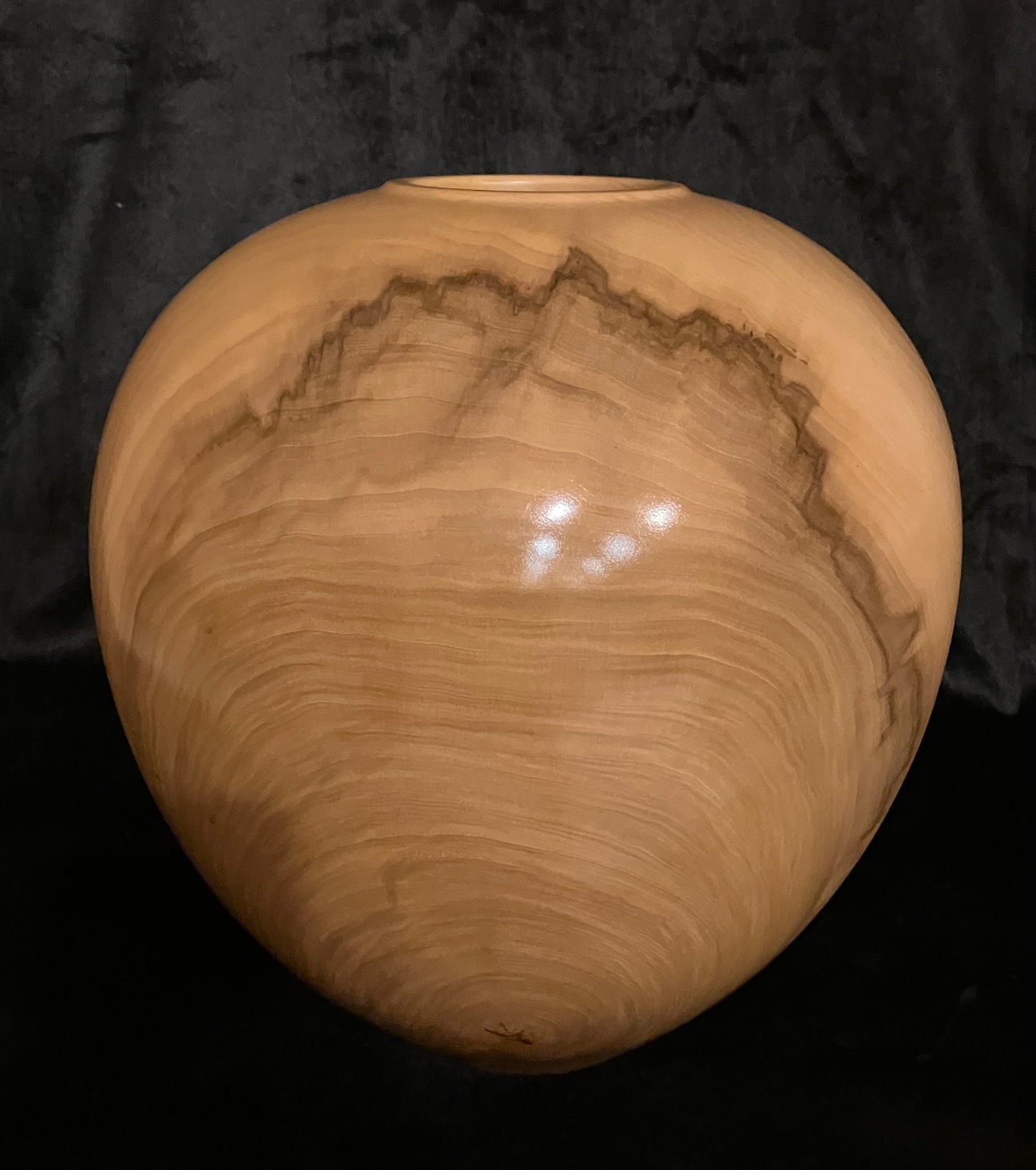 Tulip Poplar Vessel