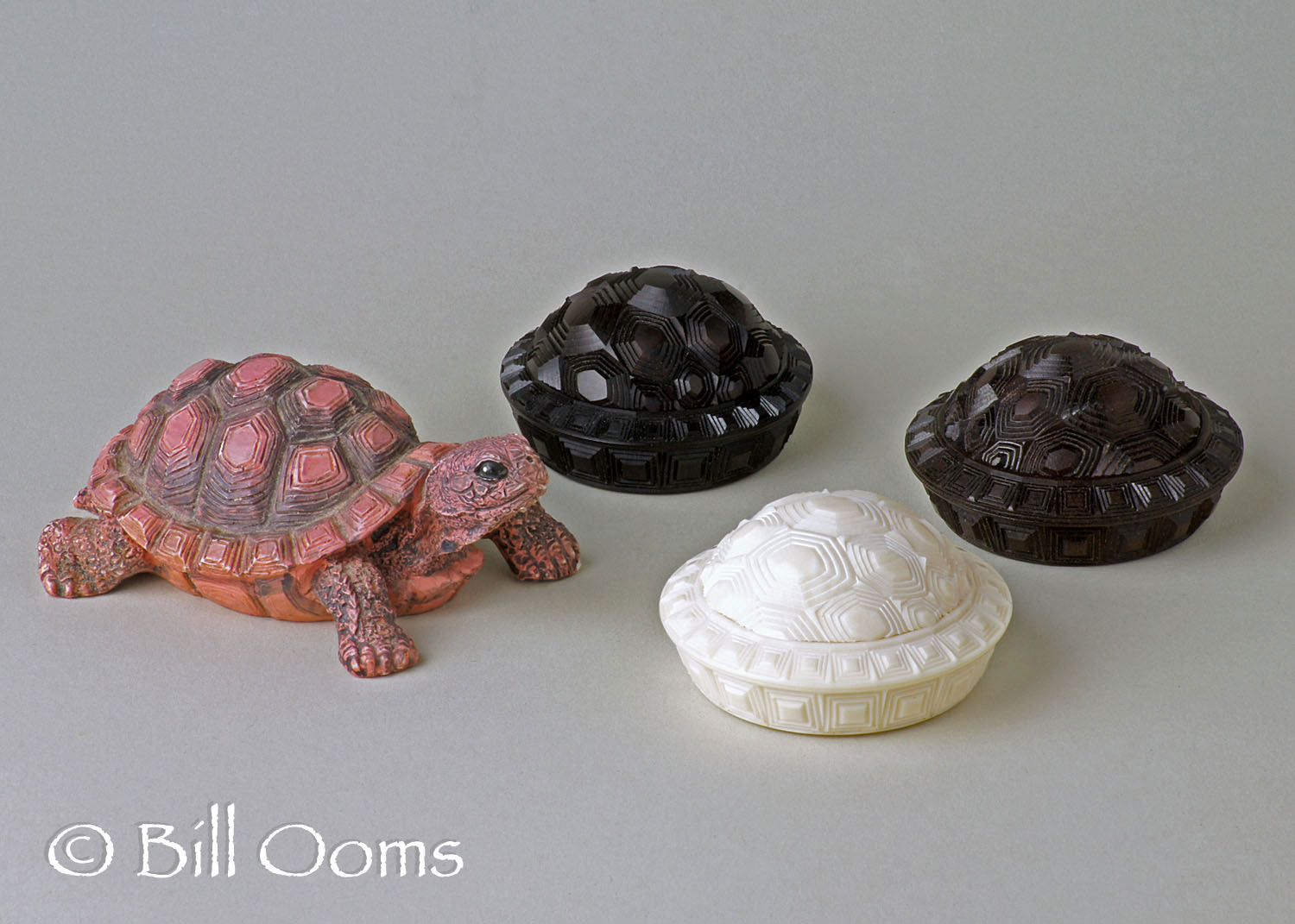 Turtle Boxes