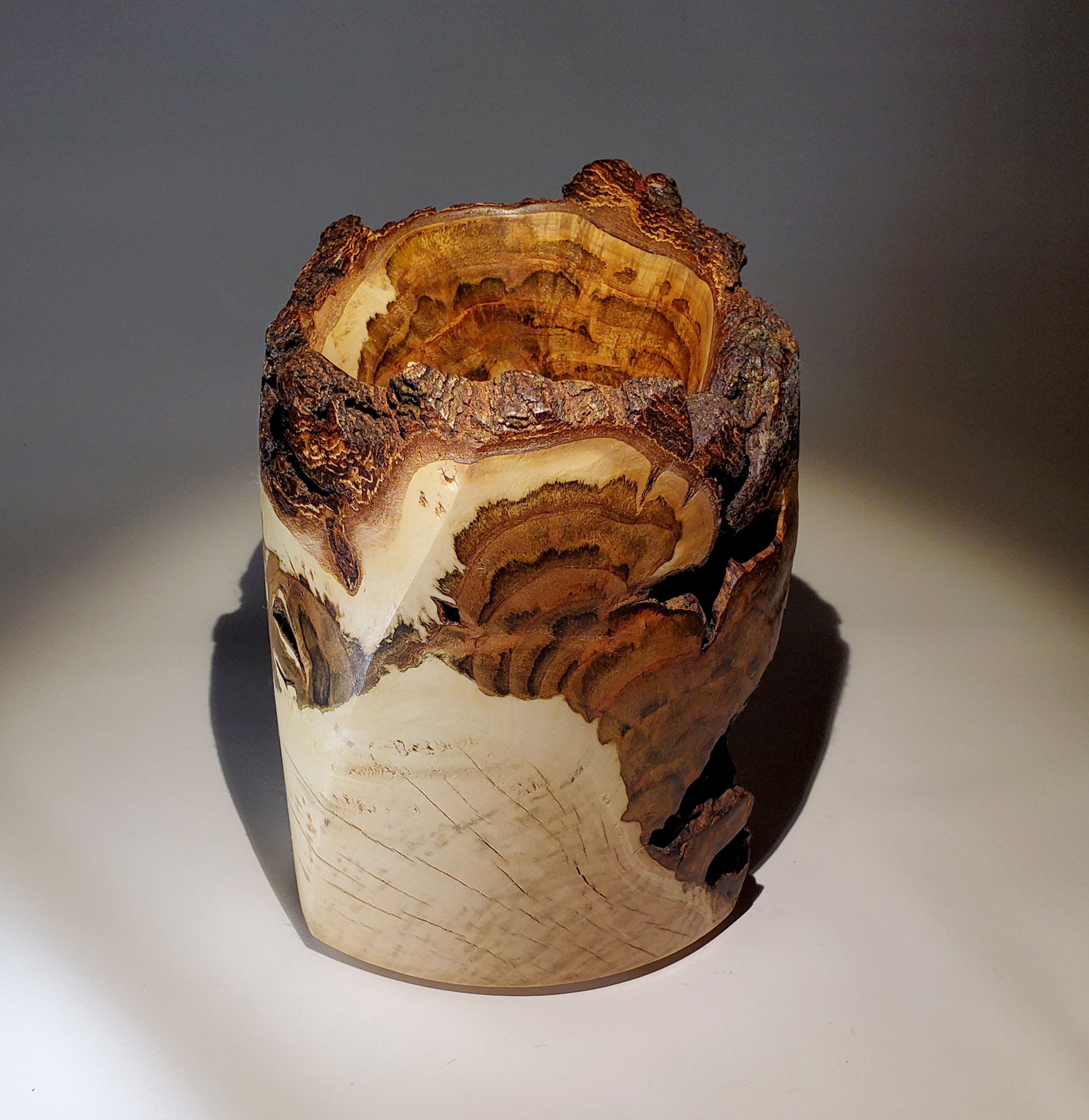 Twisted Poplar Burl