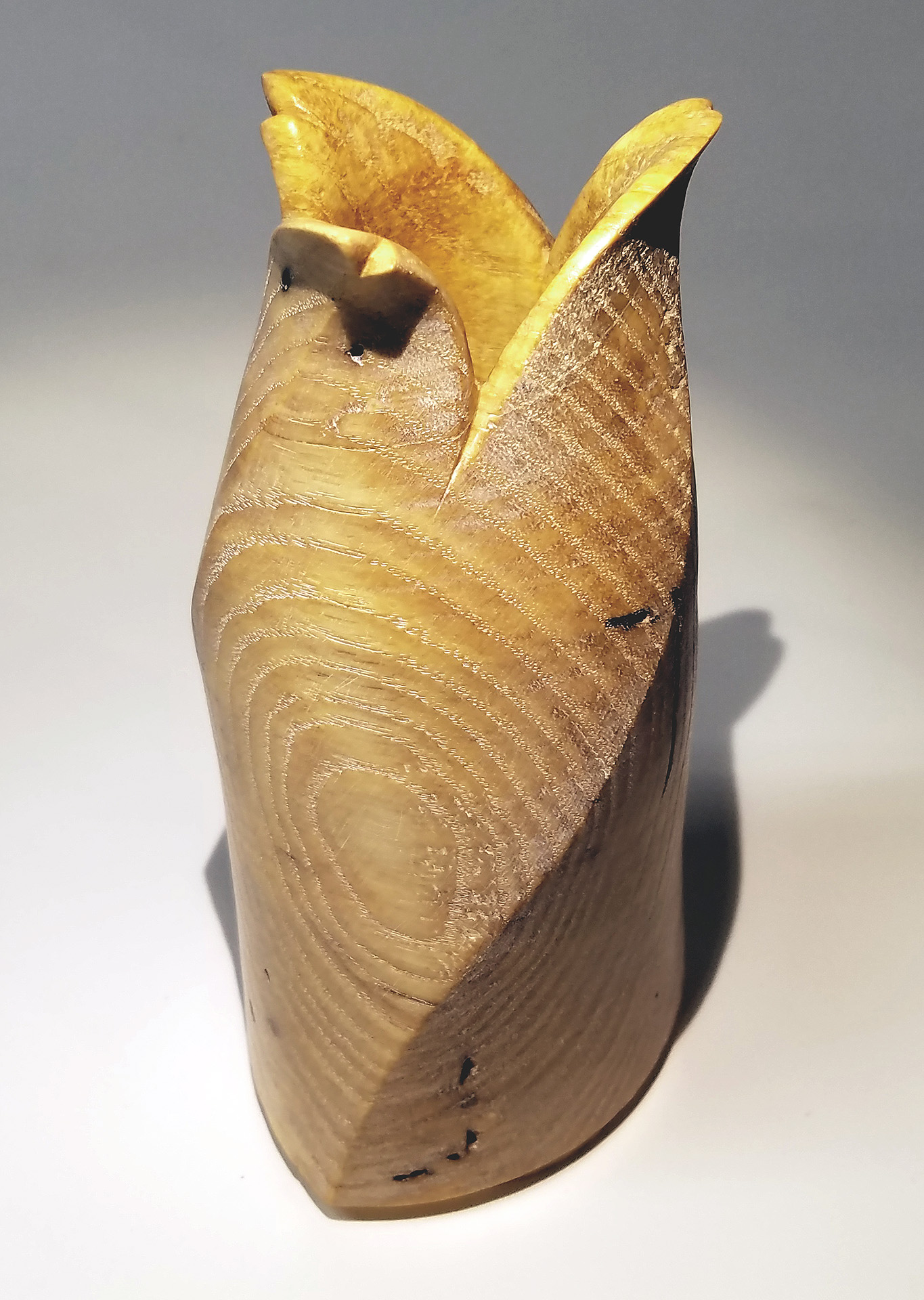 Twisted White Ash Vase