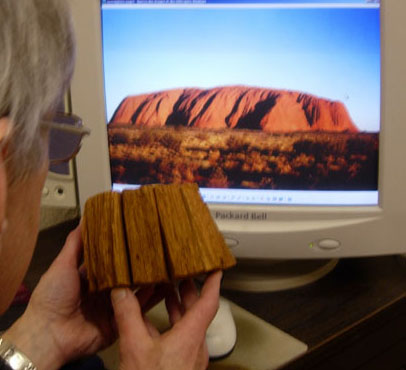 ULURU model study