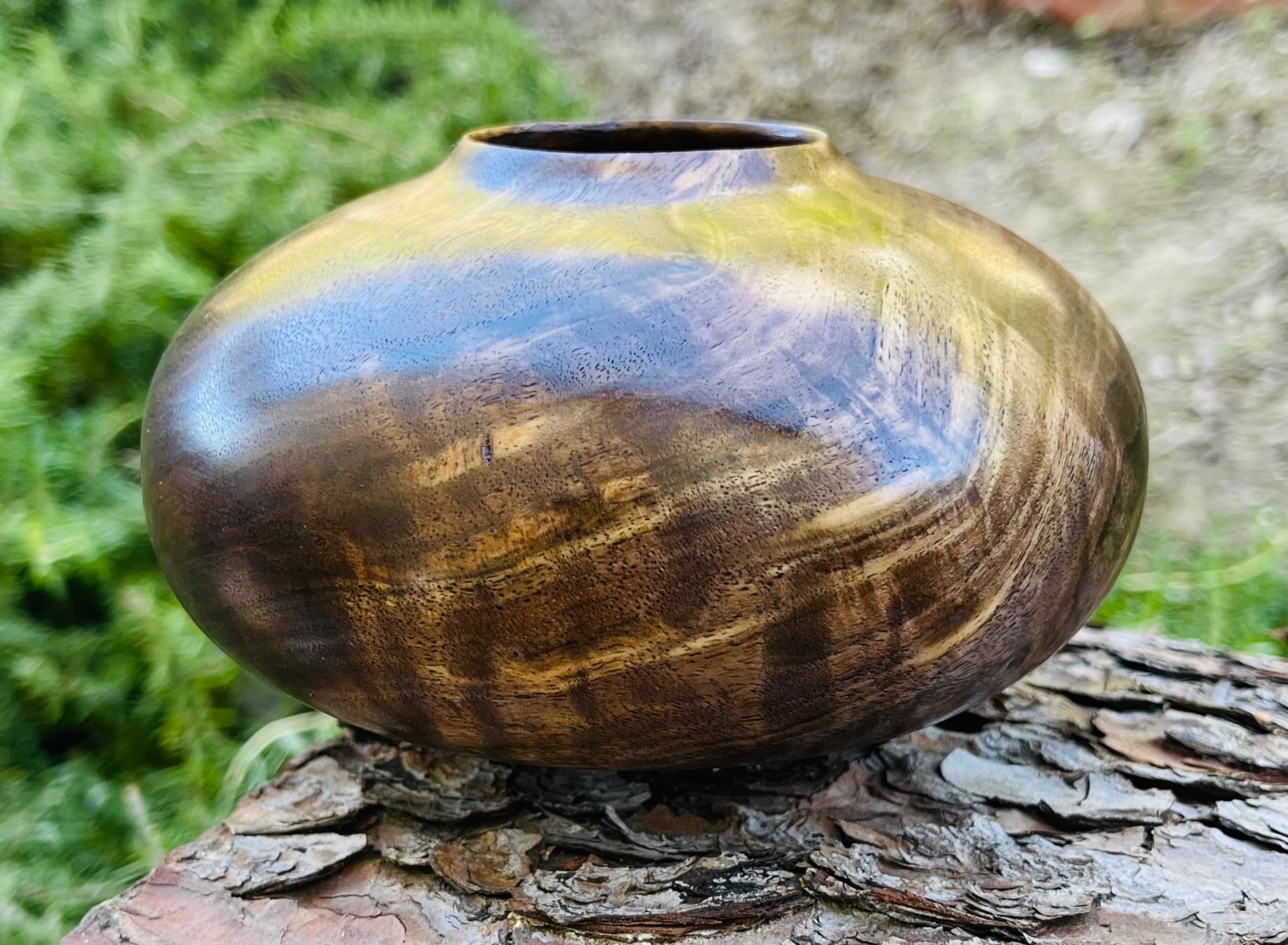 Walnut HF