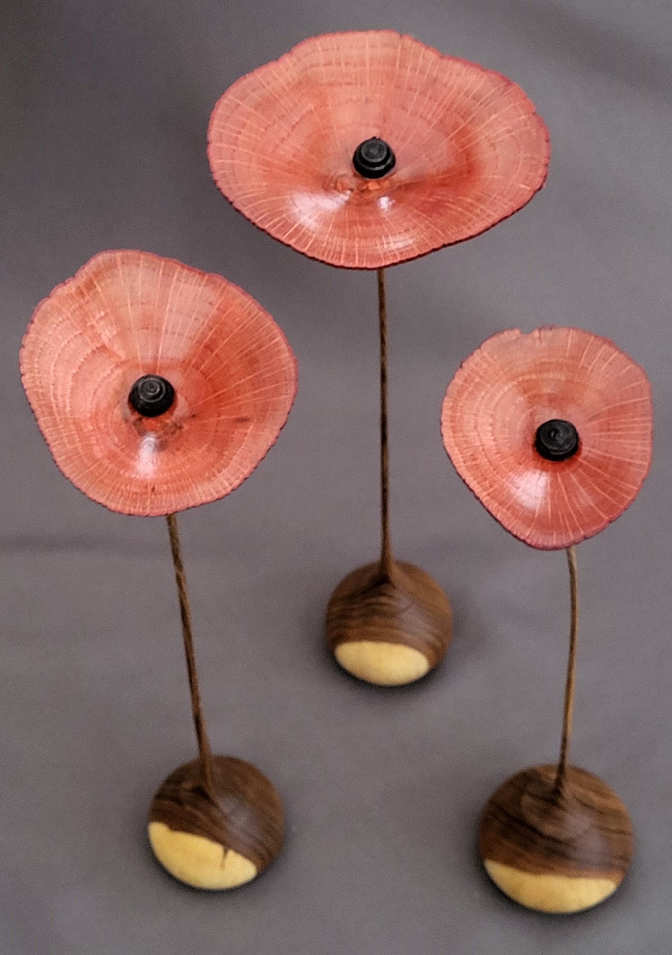 We shall remember them!