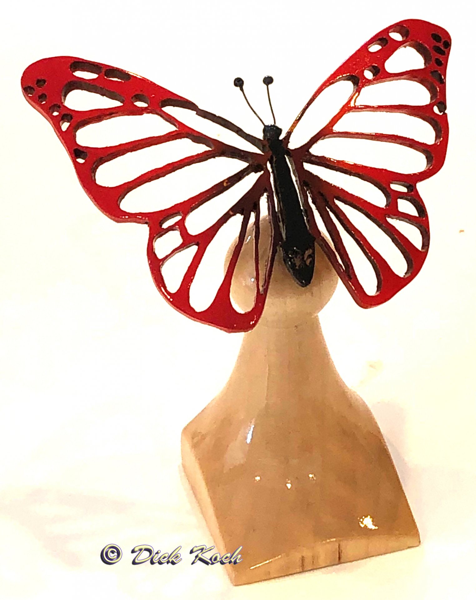 Western Red Royal Butterfly