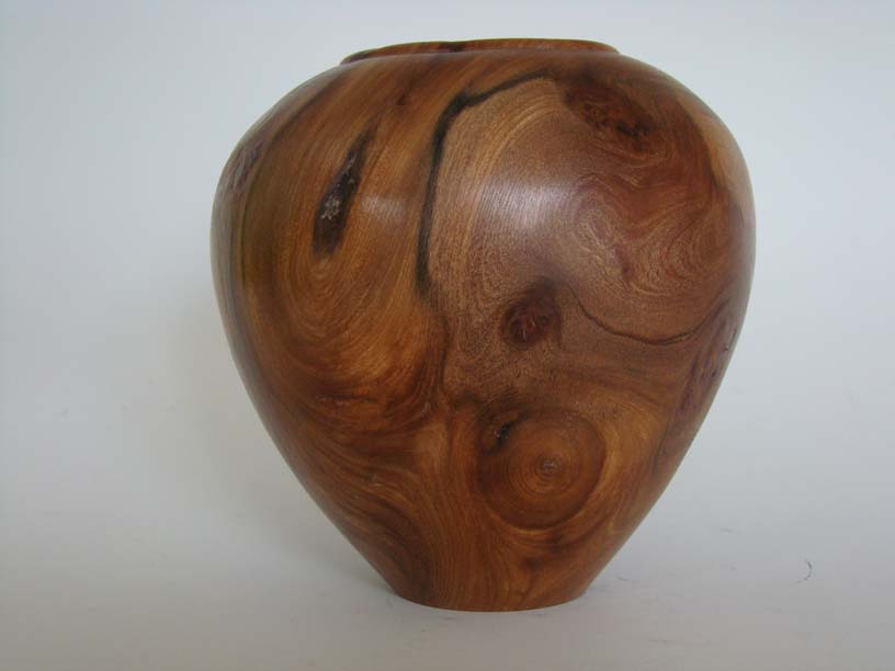 Which Elm hollow form.