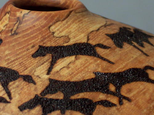Wild Mustang close-up
