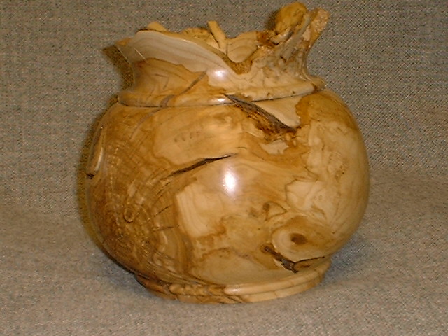 WILD WOOD