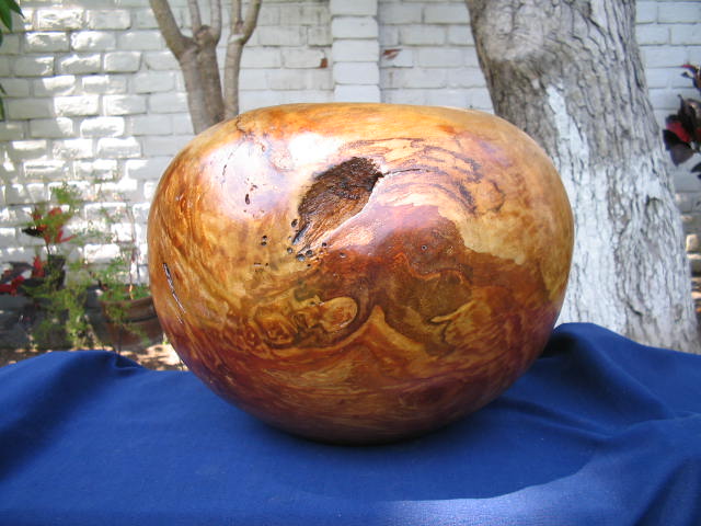 willow burl 12x10"