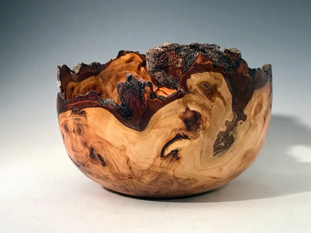 Willow Burl view 2