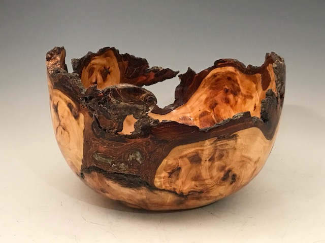 Willow Burl view 3