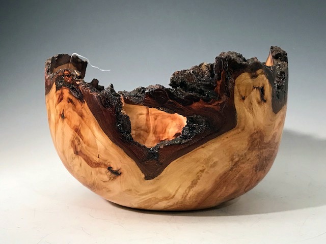 Willow Burl