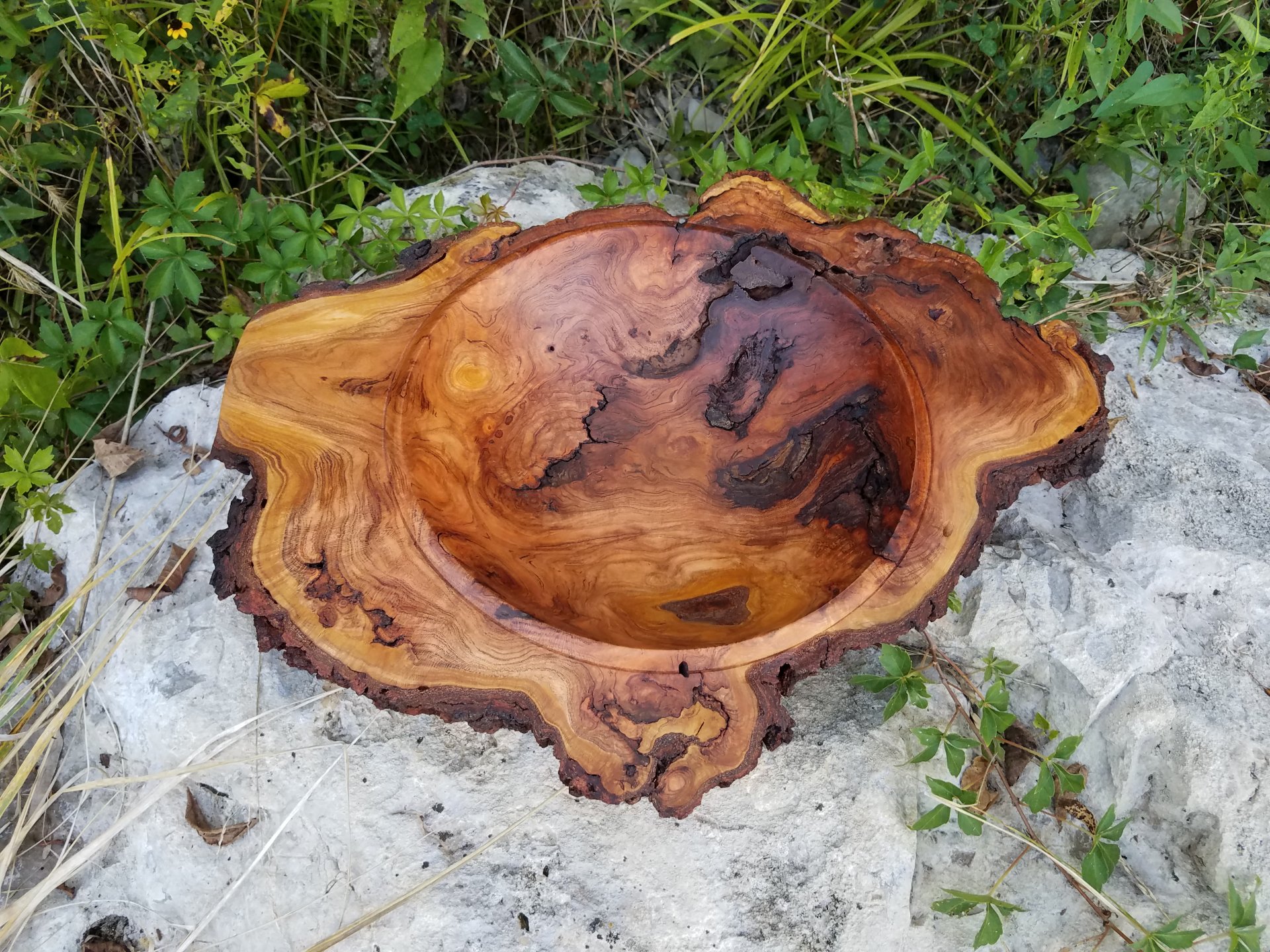 Winged Cherry Burl