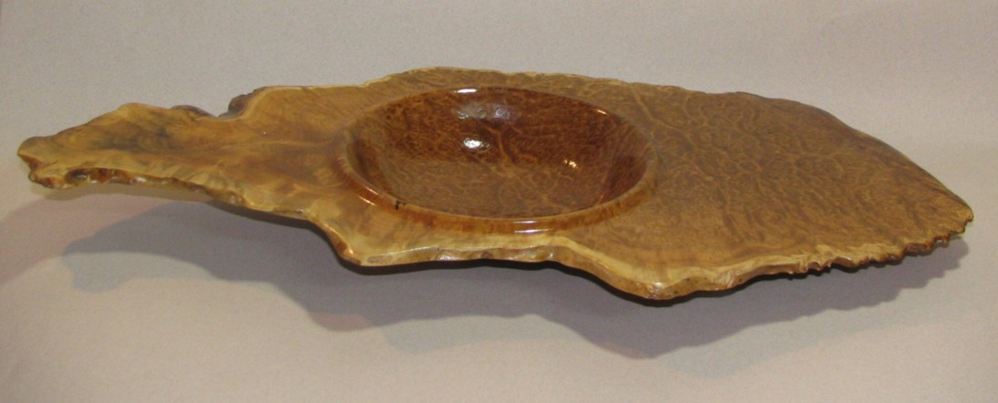 Winged mallee burl