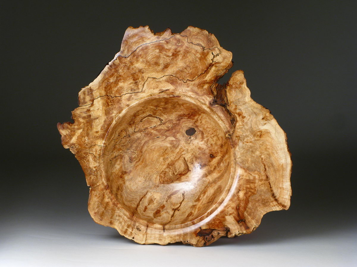 Winged Maple Burl