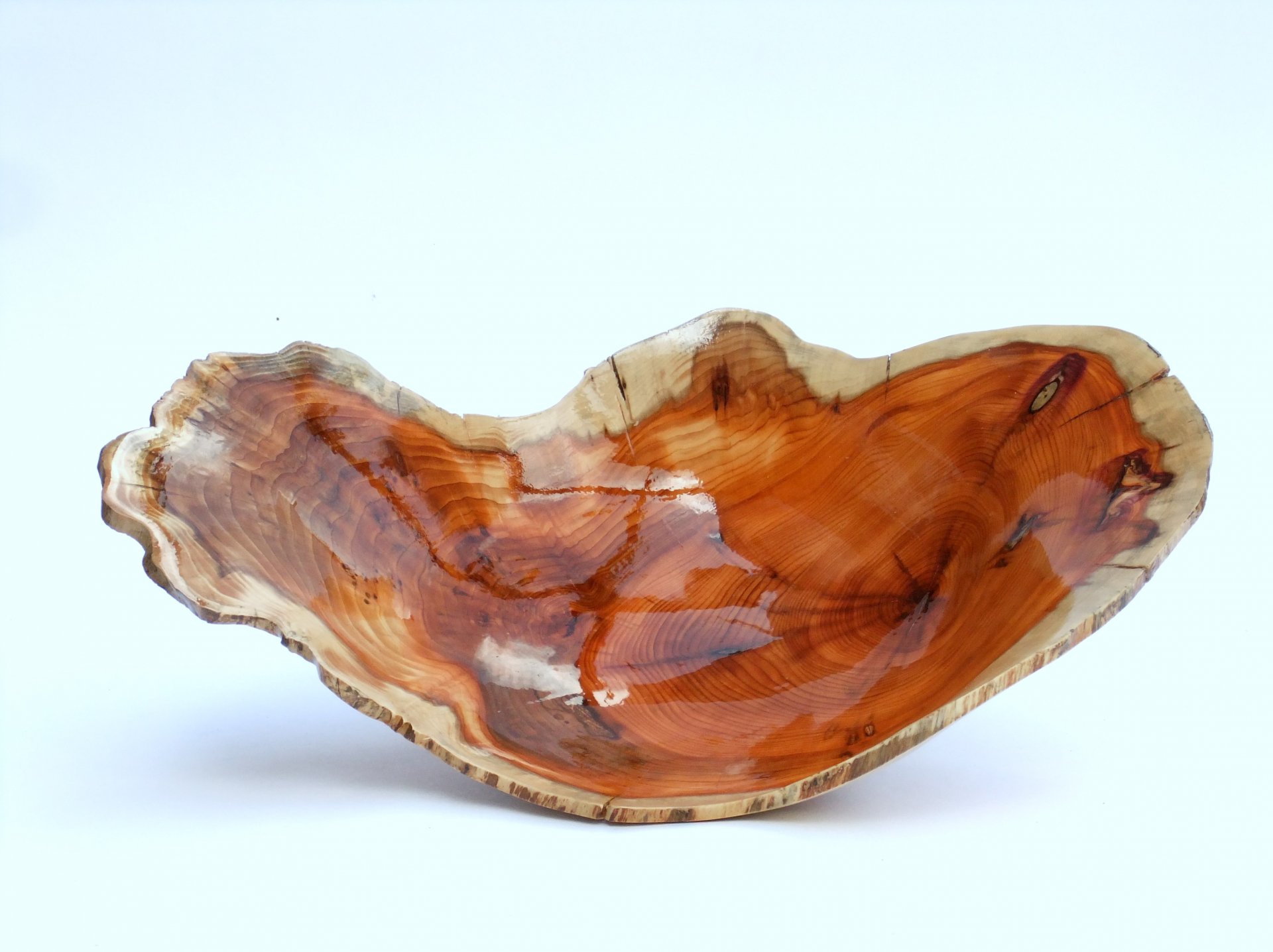 Yew bowl